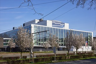 Music theatre in the Ruhr area by architect Werner Ruhnau with blossoming cherry tree (Prunus) in