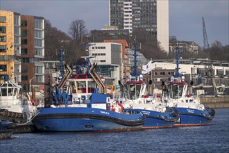 Tug harbour, tug pier, on the Elbe, Hamburg, Germany, Europe