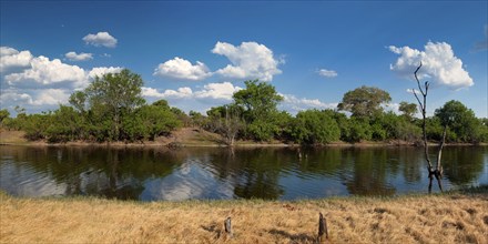 Savuti Channel which is sometimes dry for years, with dead trees in the water, climate, climate