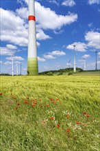 Wind farm near Brilon-Radlinghausen, Sauerland, North Rhine-Westphalia, Germany, Europe