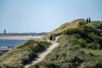 Dunes, hiking trail, beach near Zoutelande province of Zeeland, Walcheren peninsula, Netherlands