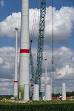 Wind farm near Dahl, Ostwestfalen-Lippe, erection of new wind turbines by Enercon, North