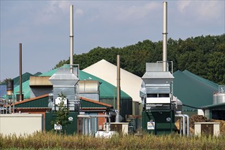 Biogas plant, combined heat and power plants, for power generation, dome-shaped gas storage