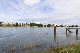 BASF, Lugwigshafen am Rhein, industrial area, bollard, jetty, Mannheim, Baden-Württemberg, Germany,