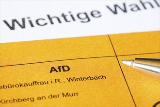 Ballot paper, ballot paper, election matter, AFD, regional election, district council election,