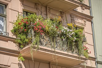 Green balcony, old building, Kopischstraße, Kreuzberg, Berlin, Germany, Europe