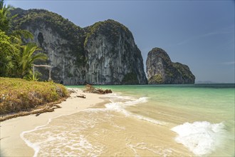 Steep karst rocks and beach on the island of Koh Lao Liang, Thailand, Asia