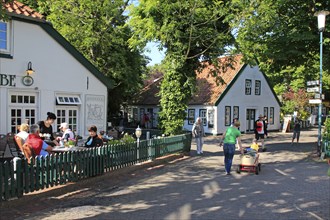 Tea room on Spiekeroog, East Frisian Island, Lower Saxony, Federal Republic of Germany, East