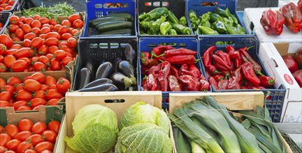 Market stall with a colourful selection of fresh vegetables such as peppers, courgettes,