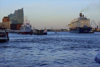 Hamburg, HafenCity, Elbe Philharmonic Hall concert hall, Mein Schiff 6. cruise ship