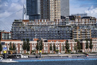 Harbour basin of the Maashaven, inland waterway port, jetties, residential buildings in the Kop van