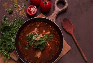 Kharcho soup, traditional Georgian dish, spicy soup, red, homemade, no people