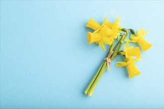 Spring snowdrop narcissus flowers bouquet on blue pastel background. top view, flat lay, copy