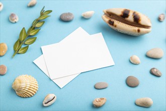 Composition with white paper business cards, seashells, green boxwood. mockup on blue pastel