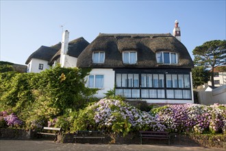 Thatched historic houses on the seafront at Paignton, Devon, England, United Kingdom, Europe