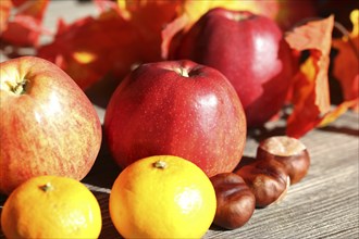 Apples and mandarins on a rustic wooden table as an autumnal motif