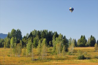 Hot air balloon over the Rothenthurm high moor in the canton of Schwyz, Switzerland, Europe