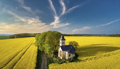 Agriculture, rape field, in full bloom, yellow, in it a small prayer chapel, aerial view, AI