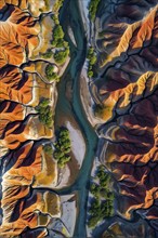 Aerial view capturing the abstract geometric patterns of a dry desert landscape, AI generated