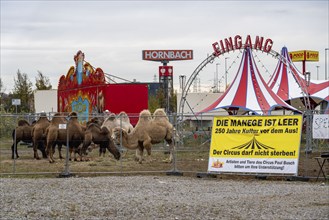 Circus Paul bush, shut down during the second corona lockdown, in Oberhausen, with posters pointing