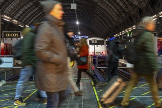 Frankfurt am Main main station, ICE train on platform, traveller, Hesse, Germany, Europe