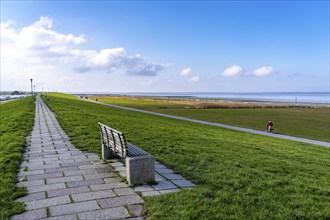 North Sea dyke, near Neuharlingersiel, Lower Saxony, Germany, Europe