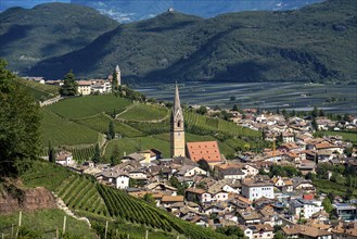 The village of Tramin on the wine route, in South Tyrol, wine-growing region of Gewürztraminer,