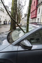 North Rhine-Westphalia, Germany, storm damage, a good 4 metre long branch was broken off by the