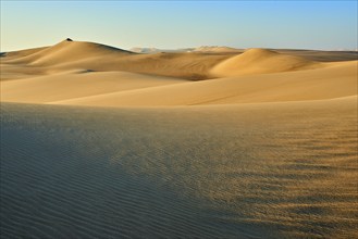 Endless sand dunes in a desert under a clear blue sky, Matruh, Great Sand Sea, Libyan Desert,