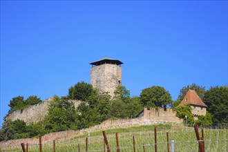 Hohenbeilstein Castle, hilltop castle, vineyards, Beilstein, Heilbronn district, Baden-Württemberg,