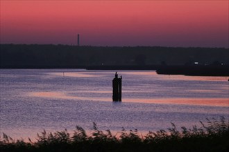 Evening sky at the Baltic Sea near Peenemünde, September, Mecklenburg-Western Pomerania, Germany,