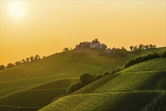 Vineyards and Staufenberg Castle, Durbach, Ortenau, Black Forest, Baden-Württemberg, Germany,