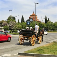 Tourists travelling in a horse-drawn carriage, road traffic, Seville, Spain, Europe