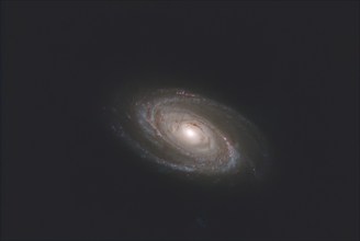 M81, NGC 3031, Bode's Galaxy in the constellation Ursa Major