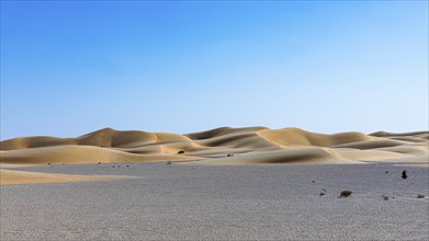 Wind-sculpted curved sand dunes in the Rub al Khali desert, Dhofar province, Arabian Peninsula,