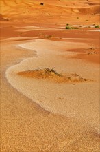 Sand structure formed by the wind, in the Rub al Khali desert, Dhofar province, Arabian Peninsula,