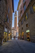 Alley leading to Piazza del Campo, Siena, Tuscany, Italy, Europe