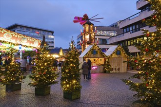 Stalls, Christmas trees and Christmas pyramid at the Christmas market at Neumarkt, Blue Hour,