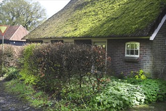 NL, Eesergroen: Spring characterises the landscape, towns and people in the province of Drenthe in