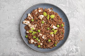 Quinoa porridge with green pea and chicken on ceramic plate on a gray concrete background. Top