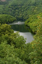 View of the Rursee from the Urfttassperre dam, Eifel National Park, North Rhine-Westphalia,