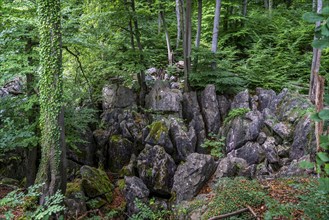 The Felsenmeer in Hemer, Sauerland, geotope, with rugged rock formations, nature reserve, North