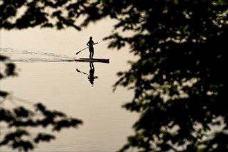 Standup paddler on Lake Baldeney, Essen, North Rhine-Westphalia, Germany, Europe