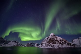 Green northern lights reflected in fjord, steep mountains, aurora borealis, winter, Reine,