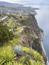 View of Funchal, Madeira, Portugal from the Cabo Girão Skywalk