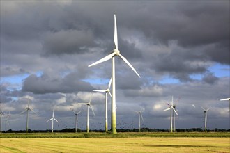 Wind turbines in front of stormy sky and rape field, East Frisia, Lower Saxony, Federal Republic of