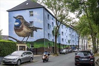 Residential buildings on Feldsieper Straße in Bochum, after an energy-efficient refurbishment, with