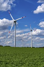 Wind farm, wind turbine, wind turbines from the manufacturer Enercon, blue sky with many white