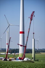 Repowering of a wind farm near Issum, here the dismantling of the tower, 9 older wind turbines from