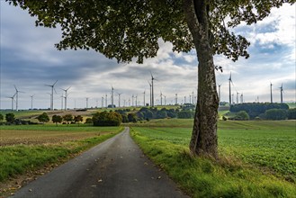 Wind farm near Lichtenau, field path, wind turbines, North Rhine-Westphalia, Germany, Europe